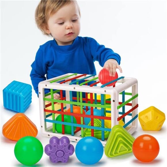 Baby Sensory Toys Montessori Shape Color Sorter Toy for Babies 6-12 Months
